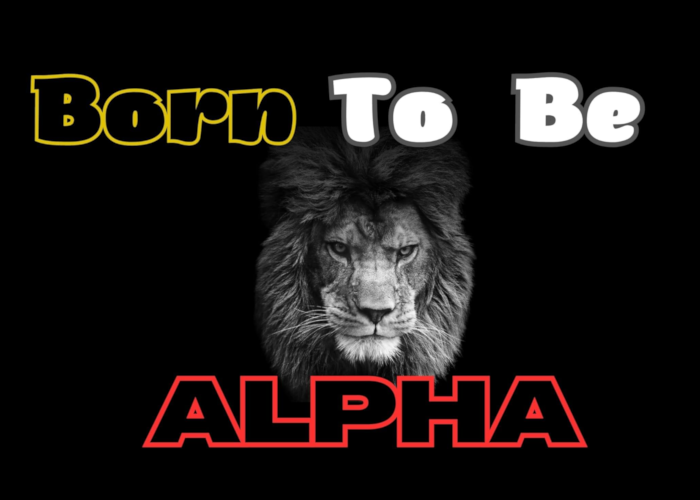 [DOWNLOAD] Born to be Alpha | King Seduction