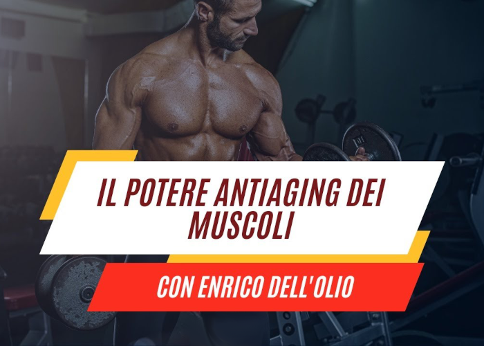 [DOWNLOAD] Corso Anti-Aging | Enrico dell’Olio