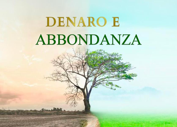 [DOWNLOAD] Denaro e Abbondanza | Metodo Magrin