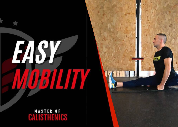 [DOWNLOAD] Easy Mobility | Claudio Negro