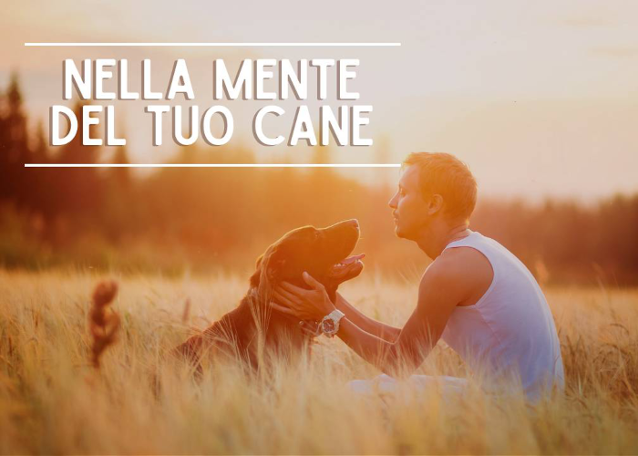 [DOWNLOAD] Nella Mente del tuo Cane | Educazione Cinofila