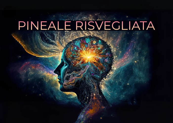 [DOWNLOAD] Pineale Risvegliata | Missione Benessere (LDL)
