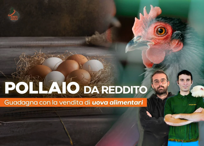 [DOWNLOAD] Pollaio da Reddito | Rendita Agricola
