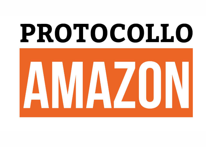 [DOWNLOAD] Protocollo Amazon | Michele Taverna