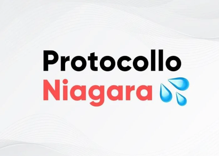 [DOWNLOAD] Protocollo Niagara | Approcciala.it