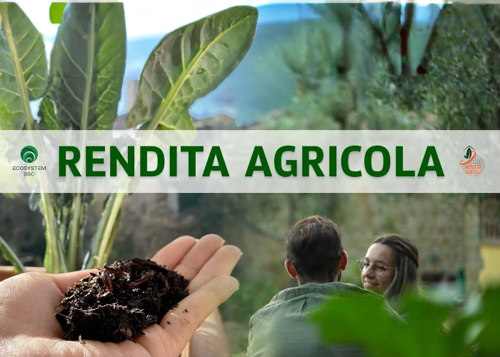[DOWNLOAD] Rendita Agricola | Ecosystem BSC