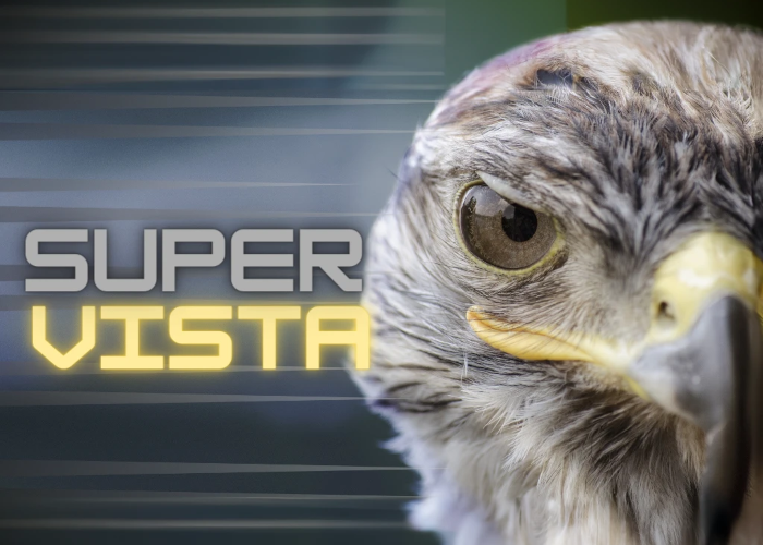 [DOWNLOAD] Super Vista | Missione Benessere (LDL)