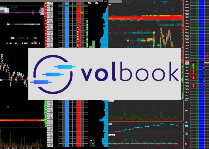 [DOWNLOAD] Abbonamento VolBook® | Volumetrica