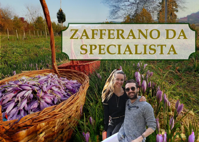 [DOWNLOAD] Zafferano Da Specialista | Rendita Agricola