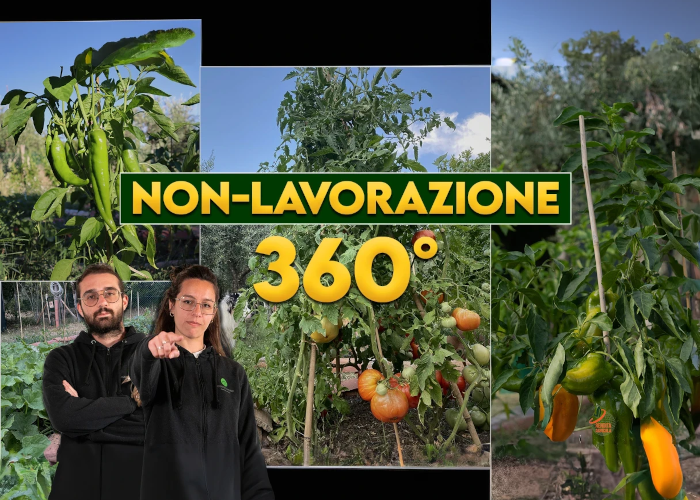 [DOWNLOAD] Orto Eterno: Non Lavorazione 360° | Rendita Agricola