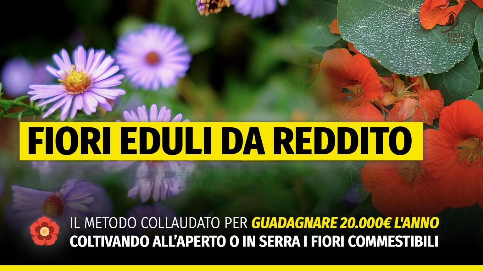 [DOWNLOAD] Fiori Eduli da reddito MASTER | Rendita Agricola