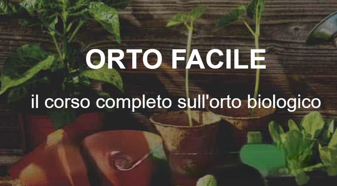 [DOWNLOAD] Orto Facile | Sara Petrucci