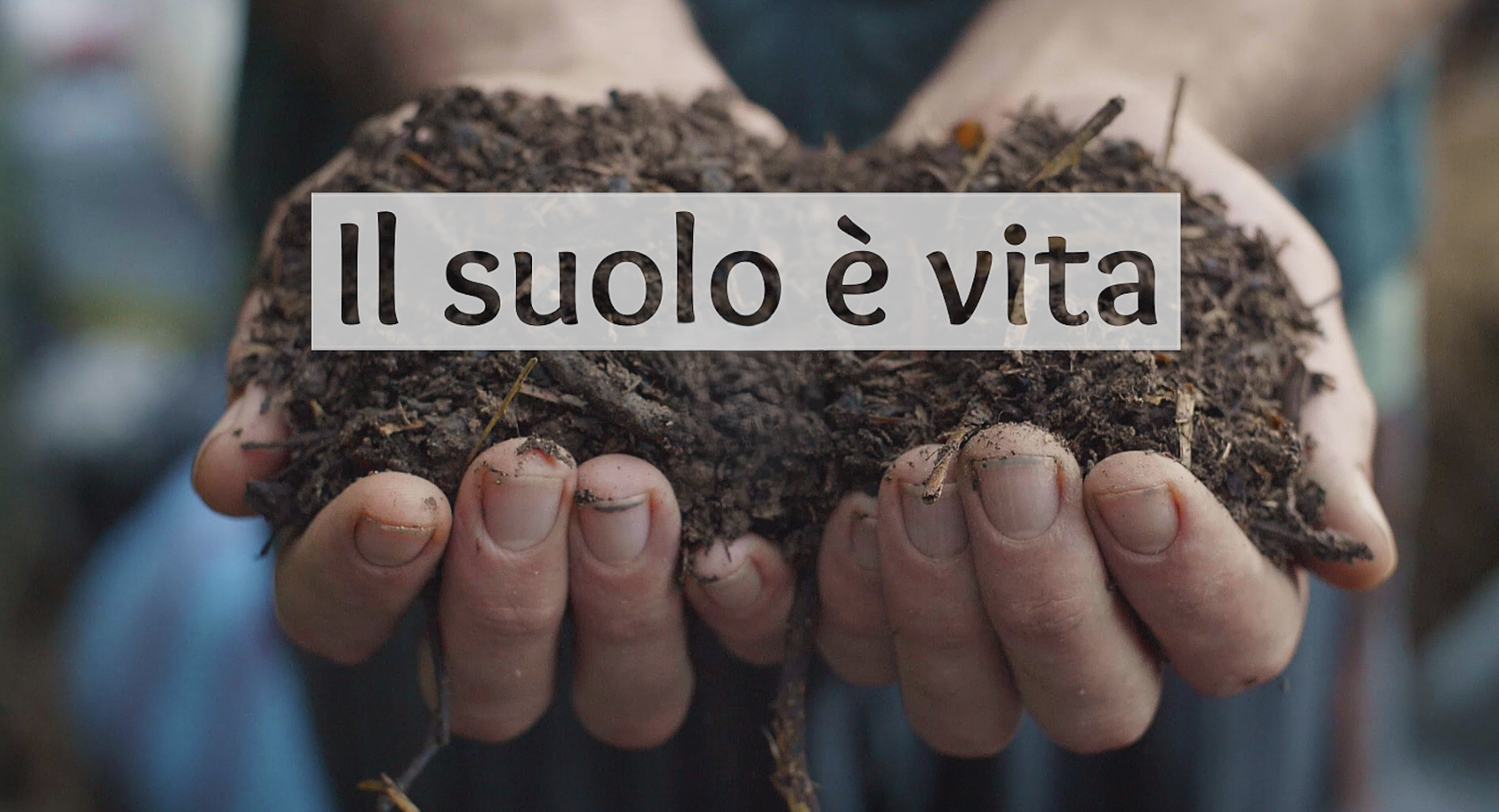 [DOWNLOAD] Il Suolo è Vita | Bosco di Ogigia